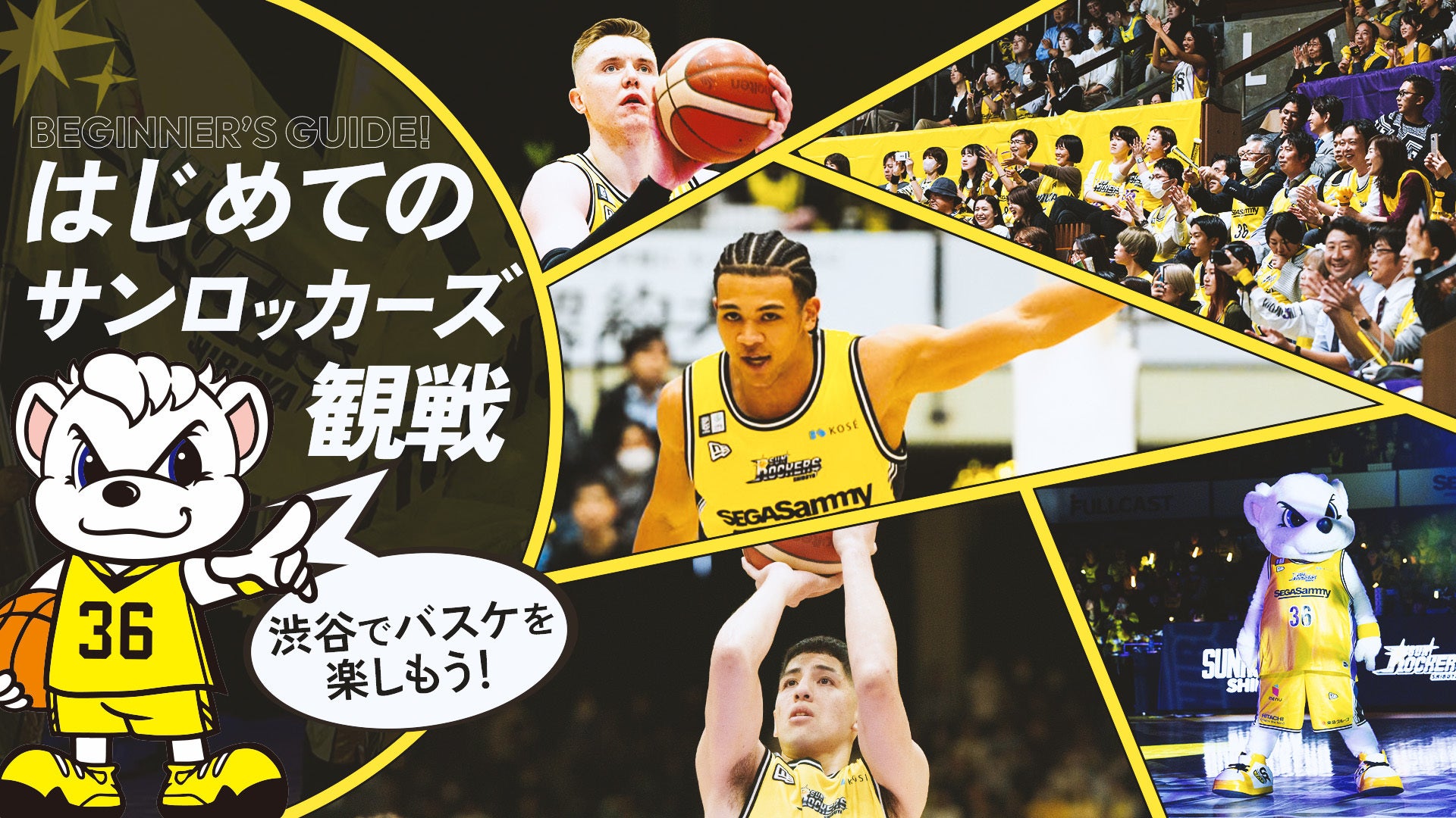 はじめての観戦ガイド